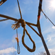 Image for article titled EXCLUSIVE: Watch the New Trailer for Upcoming Docuseries Uprooted From Discovery+ and NowThis